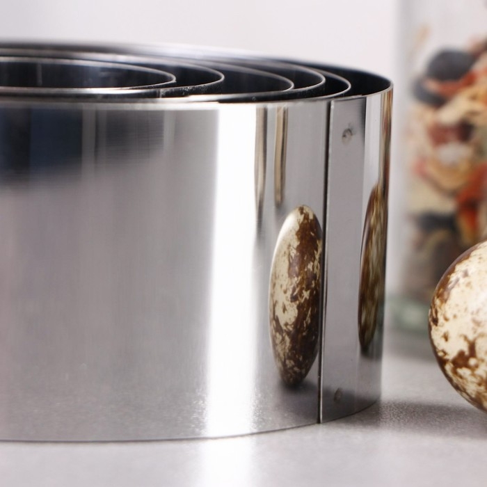 Набор форм для выпечки и выкладки «Круг», d-10, h-5 см, 6 шт Набор форм для выпечки и выкладки «Круг», d-10, h-5 см, 6 шт