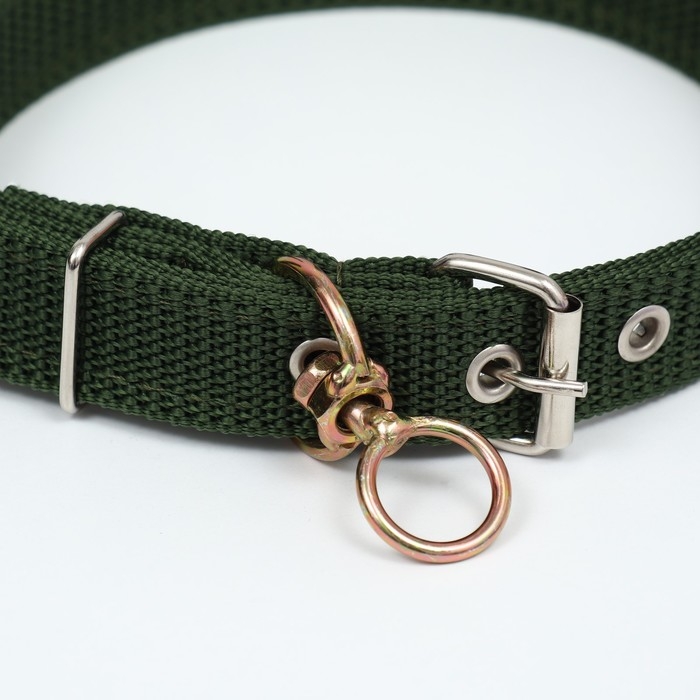 Ошейник двухслойный с вертлюгом, 3 см, зелёный Ошейник двухслойный с вертлюгом, 3 см, зелёный