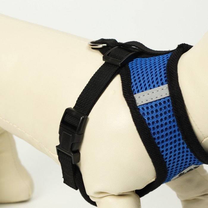 Комплект амуниции с мягкой шлейкой и светоотражающей нашивкой, XL,ОШ 40 см, ОГ 46-60 см,синий Комплект амуниции с мягкой шлейкой и светоотражающей нашивкой, XL,ОШ 40 см, ОГ 46-60 см,синий