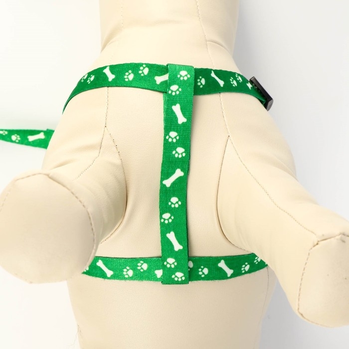 Комплект капроновый Комплект капроновый "Косточки и лапки", 1,5 см, шлейка 30-44 см, поводок 120 см, зелёный