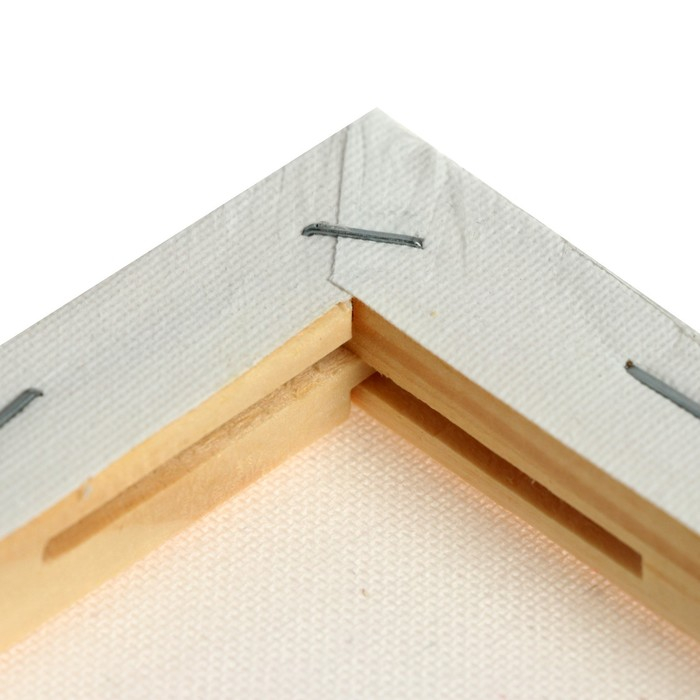 Холст на подрамнике, хлопок 100%, 40 х 50 х 1.8 см, акриловый грунт, мелкозернистый, 280 г/м² Холст на подрамнике, хлопок 100%, 40 х 50 х 1.8 см, акриловый грунт, мелкозернистый, 280 г/м²