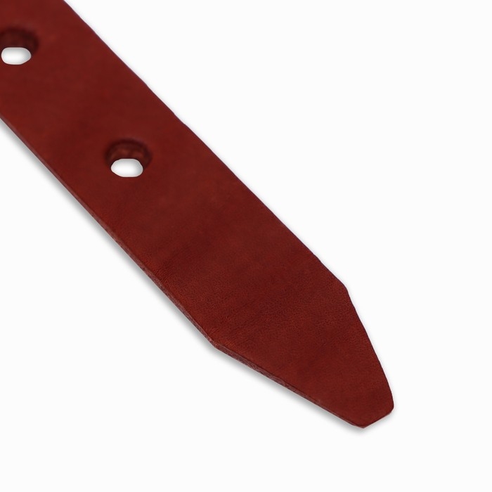 Ошейник кожаный однослойный, 45 х 2 см, ОШ 25-35 см, коричневый Ошейник кожаный однослойный, 45 х 2 см, ОШ 25-35 см, коричневый