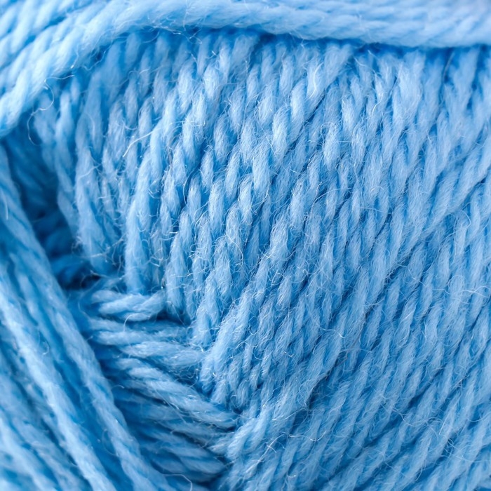 Пряжа Пряжа "Секрет успеха" 100% шерсть 250м/100гр (05-Голубой)