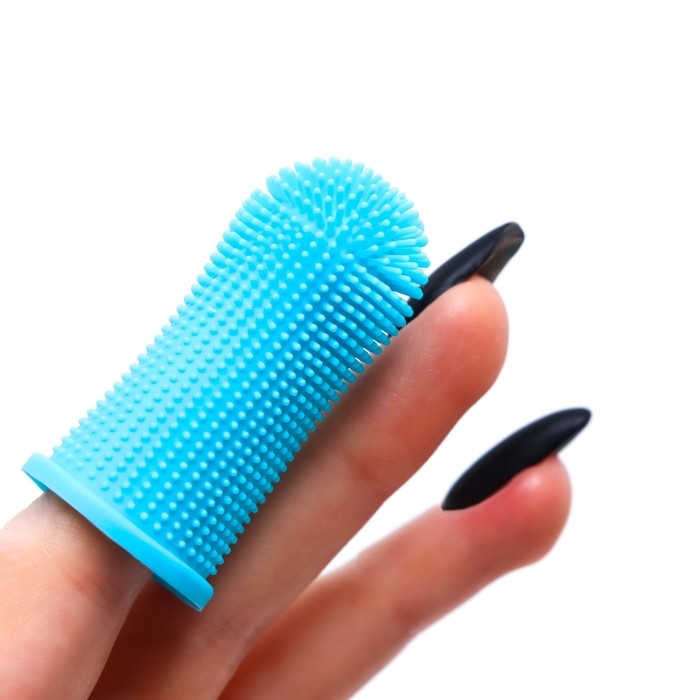 Щётка для чистки зубов животных, 5,5 х 2,5 см, голубая, контейнер 7 х 4 см