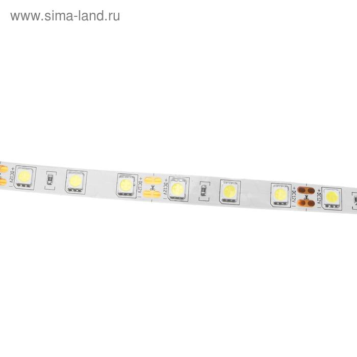 Светодиодная лента Ecola PRO 5 м, IP20, SMD5050, 60 LED/м, 14.4 Вт/м, 12 В, 6000К Светодиодная лента Ecola PRO 5 м, IP20, SMD5050, 60 LED/м, 14.4 Вт/м, 12 В, 6000К