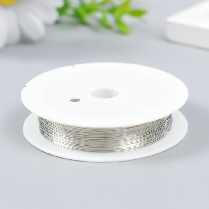 Проволока для творчества  Проволока для творчества "Astra" 0,3 мм, 10 м, серебро