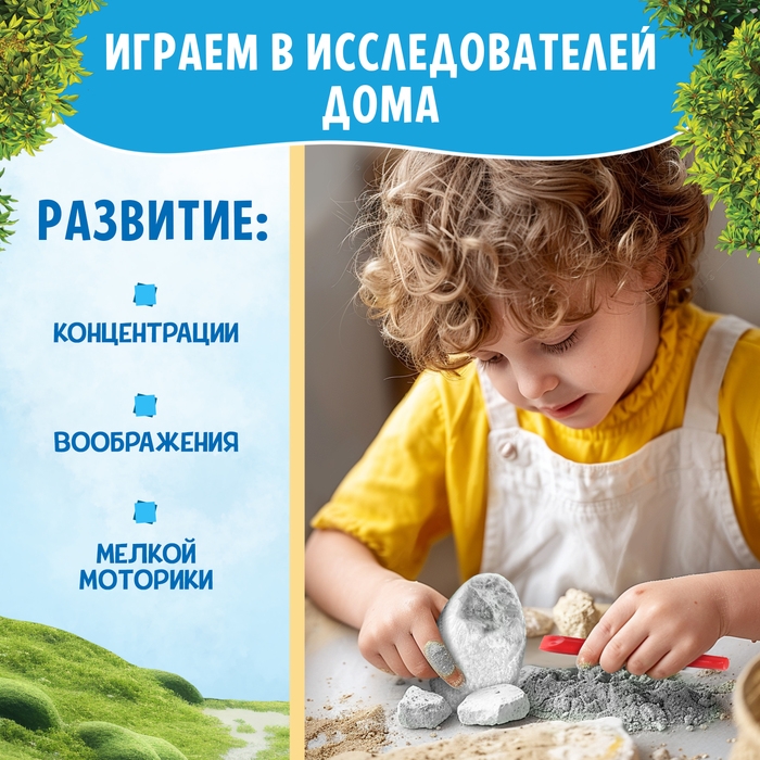 Набор для раскопок &laquo;Жители фермы&raquo;