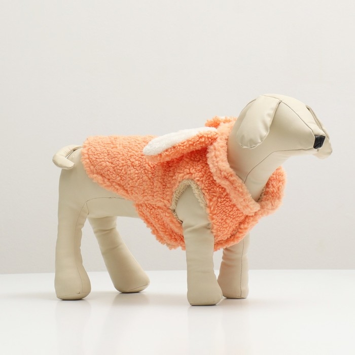 Костюм Зайка Костюм Зайка", размер S (ДС 25 см, ОШ 24 см. ОГ 35 см), оранжевый