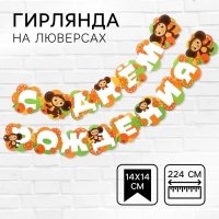 Гирлянда на люверсах "С Днем Рождения", длина 224 см, Чебурашка