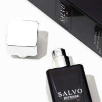 Парфюмерная вода мужская Salvo Intence (по мотивам Dior Sauvage), 30 мл