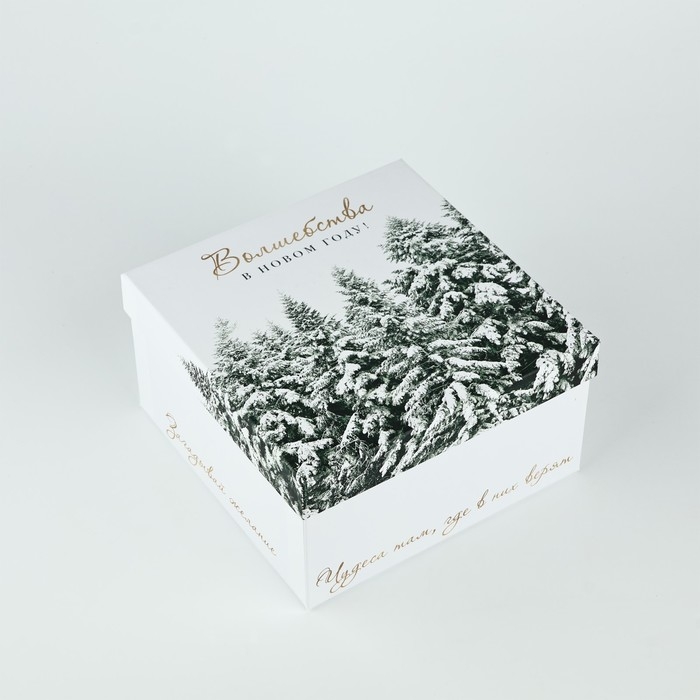 Набор подарочных коробк 5 в 1 «Снежная зима», 14 х 14 х 8–22 х 22 х12 см, Новый год Набор подарочных коробк 5 в 1 «Снежная зима», 14 х 14 х 8–22 х 22 х12 см, Новый год