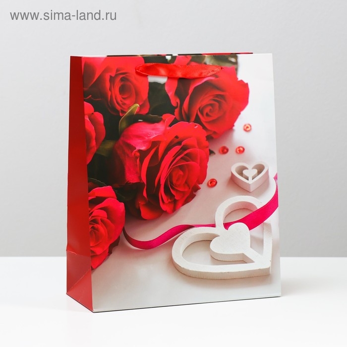 Пакет ламинированный, 26 x 32 x 12 см Пакет ламинированный, 26 x 32 x 12 см