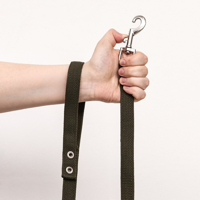 Поводок брезентовый 5 м х 2 см, тёмно-зелёный Поводок брезентовый 5 м х 2 см, тёмно-зелёный