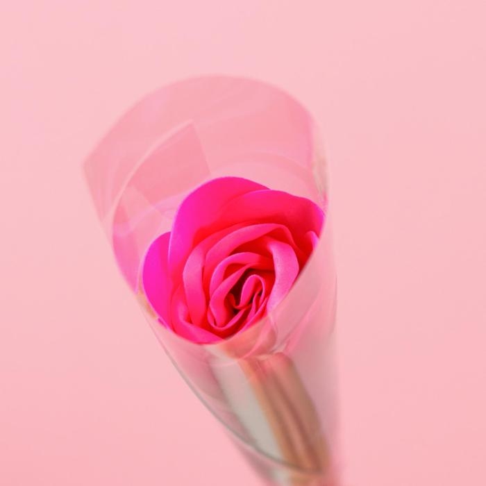 Мыльная роза, фуксия Мыльная роза, фуксия