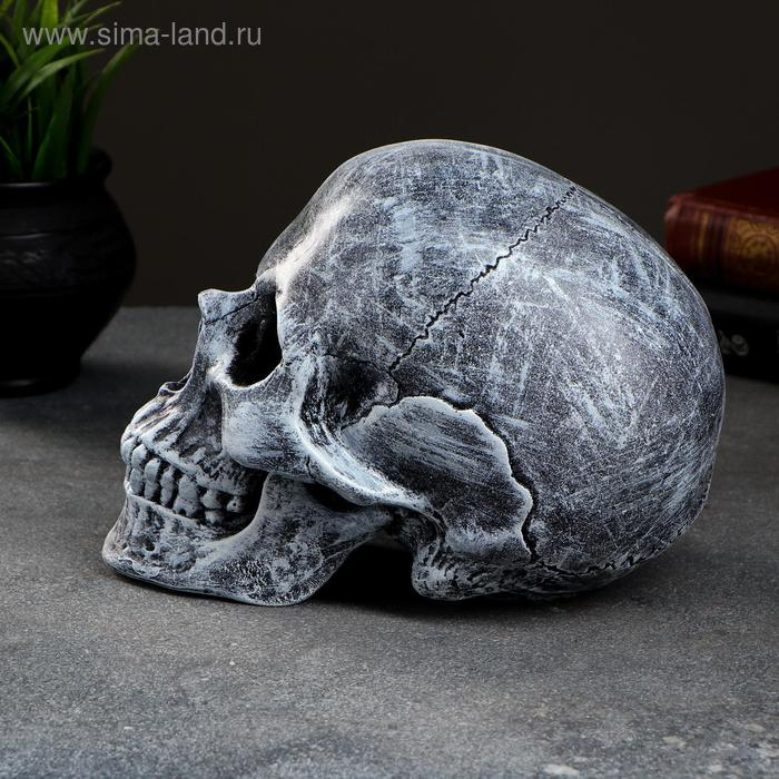 Копилка  Копилка "Череп" 16х13х22 см