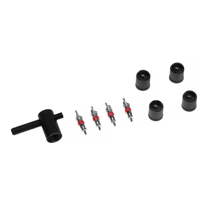 Набор автолюбителя №4, 4 колпачков, пластик, 4 золотников коротких, ключ Набор автолюбителя №4, 4 колпачков, пластик, 4 золотников коротких, ключ