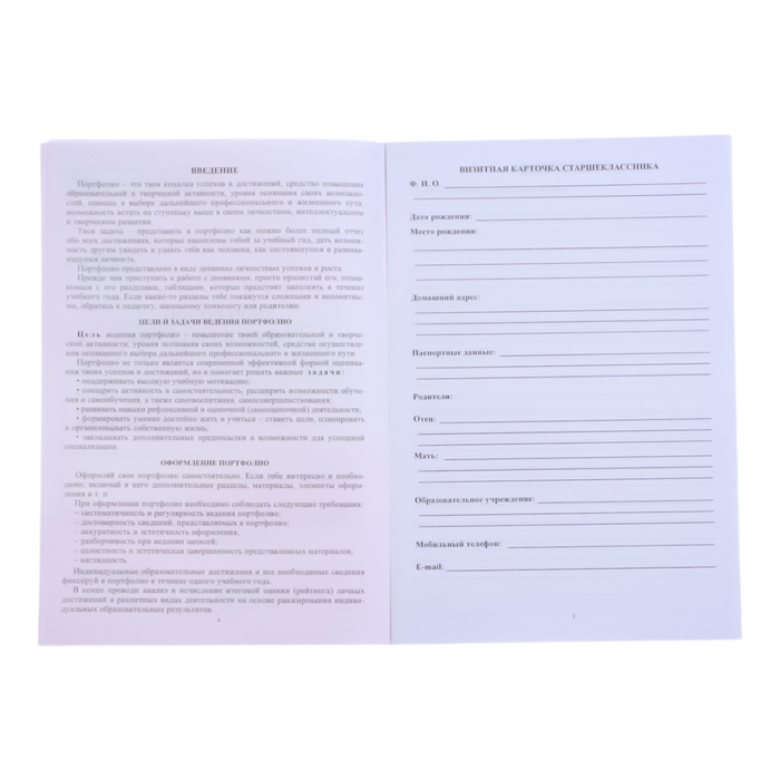 Папка "Портфолио старшеклассника", 8 грамот, А4