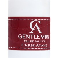 Туалетная вода мужская Chris Adams Ca Gentleman, 100 мл