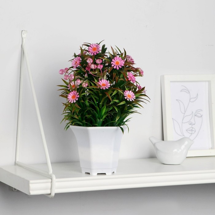 Бонсай в горшке Бонсай в горшке "Ромашка нивяник" 11х22 см, микс