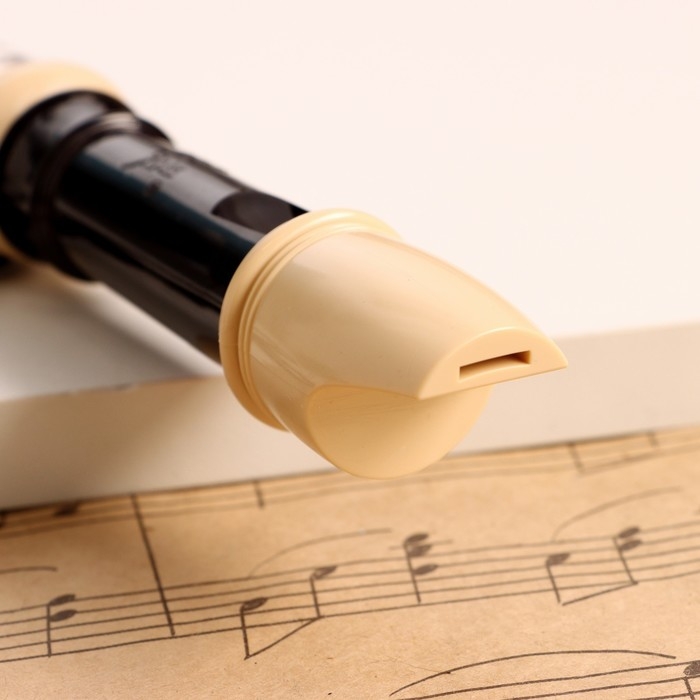 Блокфлейта Music Life, 8 отверстий, черный чехол, шомпол, 30 см Блокфлейта Music Life, 8 отверстий, черный чехол, шомпол, 30 см