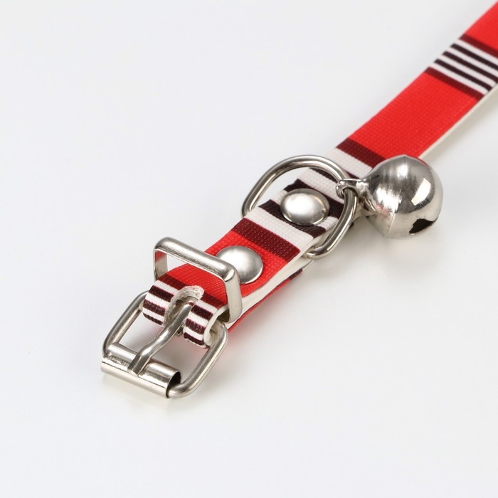 Ошейник Ошейник "Бренд", 31 х 1 см, ОШ 21-28, искусственная кожа