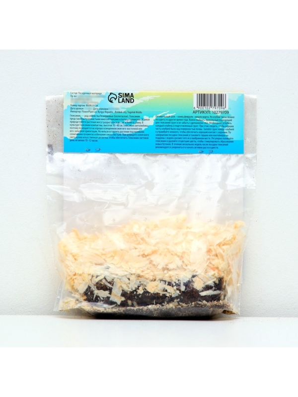 Глоксиния «Виолацея», многолетник, комнатный, луковица в пакете с перфорацией, р-р 5/6, 2 шт.