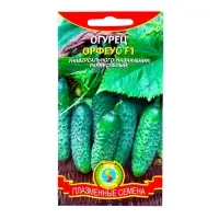 Семена Огурец "Орфеус", F1, 10 шт
