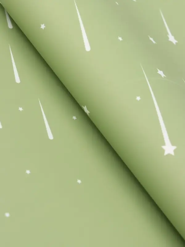 Пленка для цветов, "Звездопад", нежно-зелёная, 57х57 см