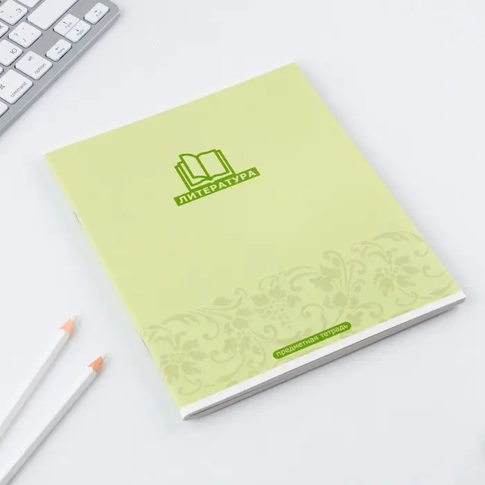 Тетрадь в линейку, предметная, 48 л.,на скрепке, А5 &laquo;МИНИМАЛИЗМ. Литература&raquo;