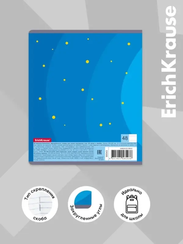 Тетрадь для записи иностранных слов, 48 листов, в линейку, ErichKrause Friendship, три столбца: слово, транскрипция, перевод, МИКС