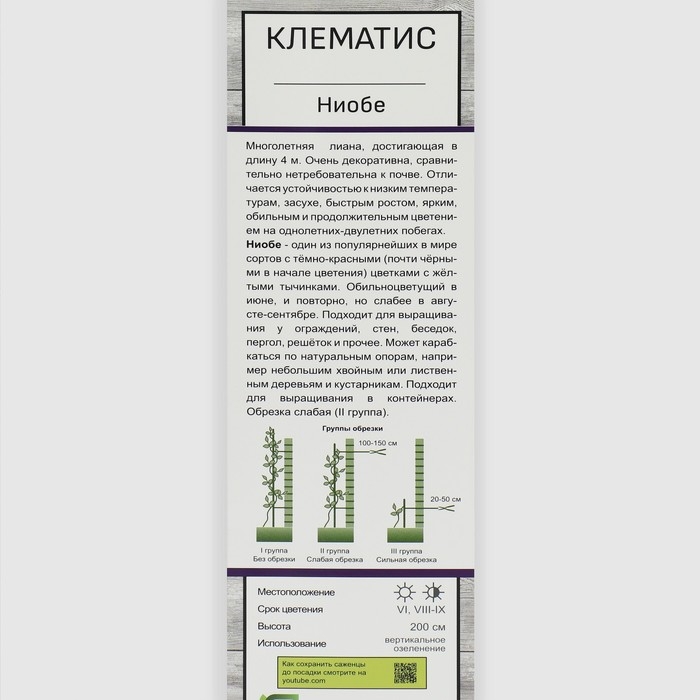 Клематис крупноцветковый Клематис крупноцветковый "Ниобе ", 1 шт, туба, Весна 2025