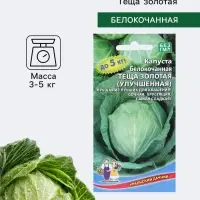 Семена Капуста белокочанная &laquo;Тёща золотая&raquo;, 0.3 г, &laquo;Уральский дачник&raquo;
