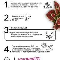 Семена цветов Колеус &laquo;Радуга - Фестиваль танца&raquo;, F1, 10 шт., &laquo;Престиж семена&raquo;