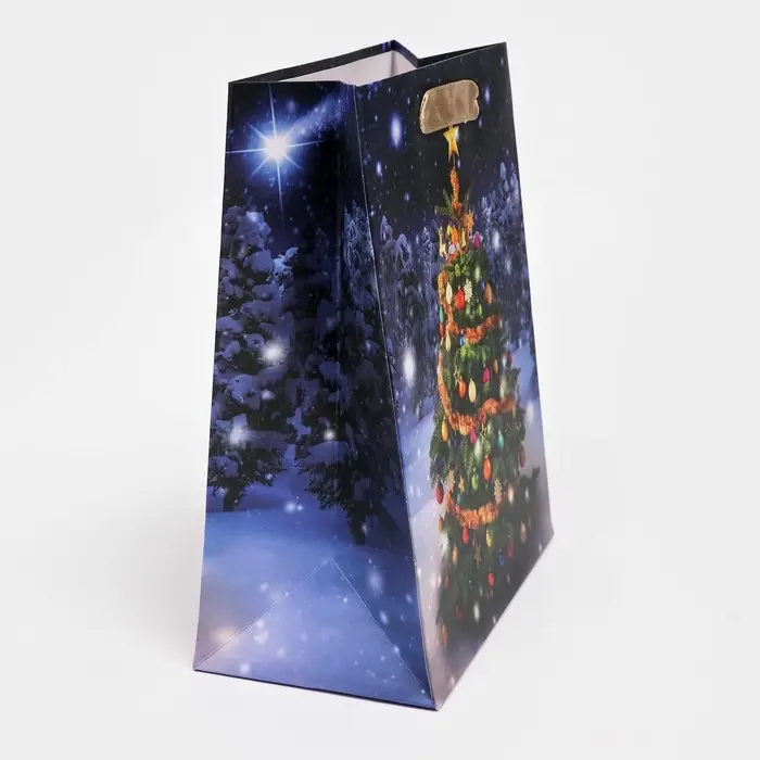 Пакет подарочный, ламинированный, «Ёлочка»,18×23×10 см Пакет подарочный, ламинированный, «Ёлочка»,18×23×10 см