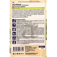 Семена комнатных цветов нолина &laquo;Бутылочное дерево&raquo;, 3 шт.