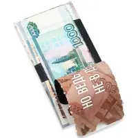 Конверт для денег с отрывной лентой «Кошелёк», 16.5 х 8 см