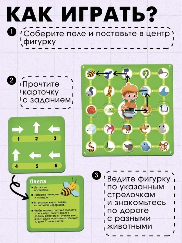 Развивающая игра &laquo;Пройди по стрелкам. Изучаем животных&raquo;, 24 карточки, 3+