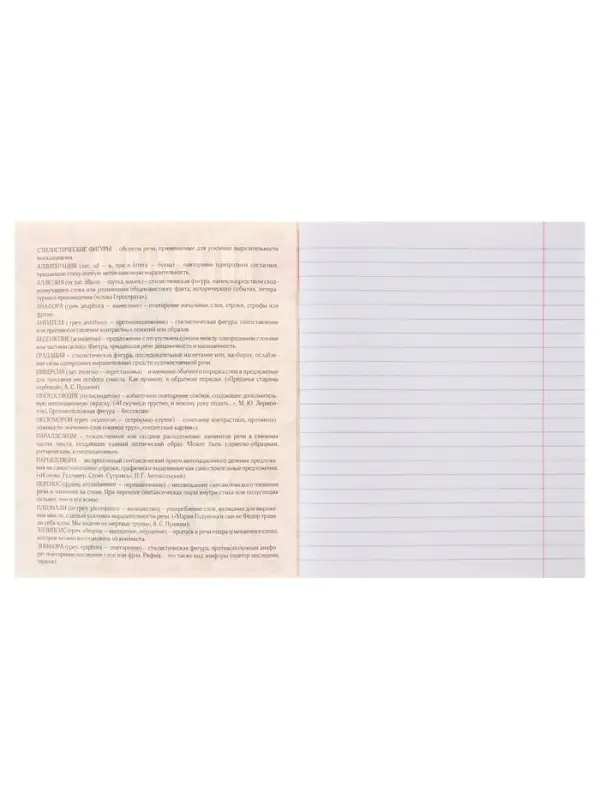 Тетрадь предметная 48 листов в линейку Calligrata &laquo;Журнал. Литература&raquo;, картонная обложка