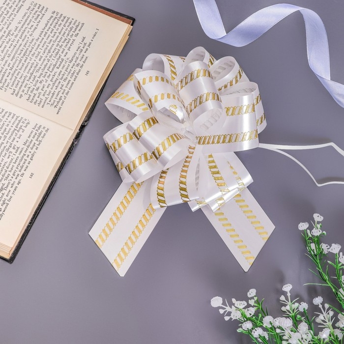 Бант-шар №5 Бант-шар №5