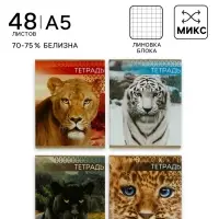 Тетрадь &laquo;Дикие кошки&raquo;, 48 листов, в клетку, МИКС