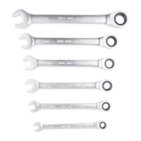 Набор ключей гаечных комбинированных трещоточных в пластике (8-17 мм) (6предметов) AVS K6N6P