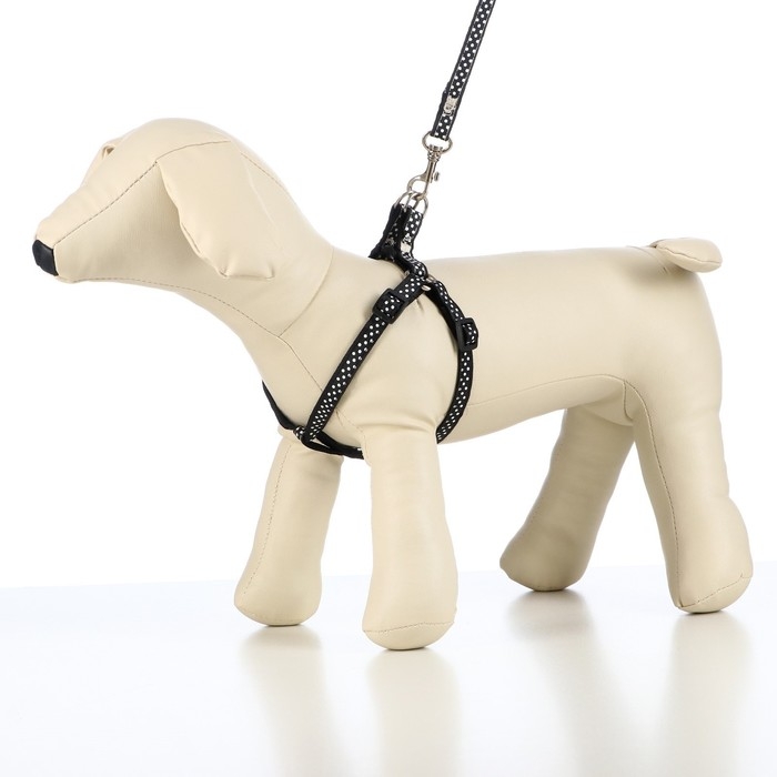 Комплект амуниции Комплект амуниции "Горошек", ширина 1 см, шлейка 27-42 см, поводок 120 см, чёрный