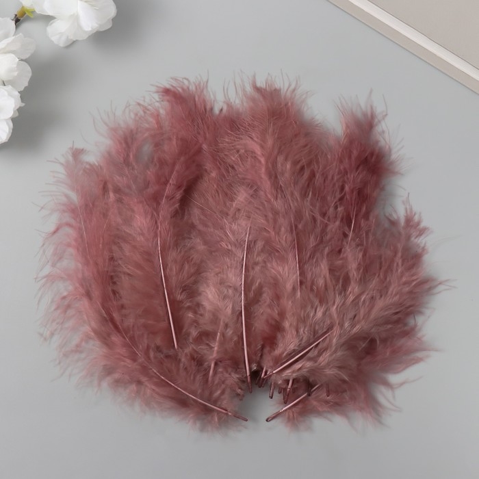 Перо декоративное гусиное пуховое Перо декоративное гусиное пуховое "Кофе" набор 40 шт h=10-15 см