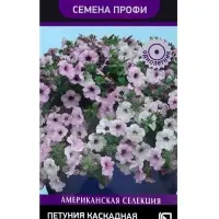 Семена цветов Петуния каскадная &laquo;Тайдал Вейв Сильвер&raquo; 5 шт.