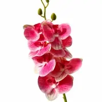 Цветы искусственные &laquo;Орхидея экстра галант&raquo;, h=60 см, d=8 см, розовые