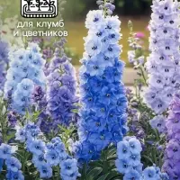 Семена цветов Дельфиниум "Волшебный фонтан", 0,1 г