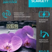 Весы