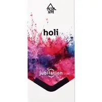 Диффузор ароматический с палочками Holi Jubilation, 50 мл