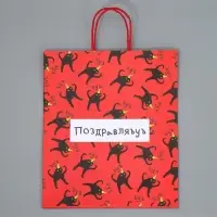 Пакет подарочный крафтовый, упаковка, &laquo;Поздравляю&raquo;, 28&times;32&times;15 см