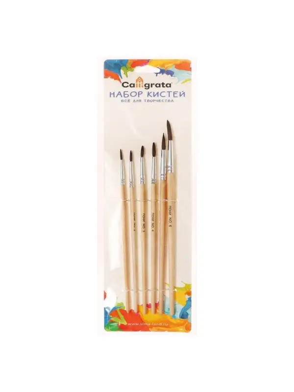 Набор кистей для рисования, пони, 6 штук: № 1, 2, 3, 4, 5, 6, круглые, деревянная ручка, международный размер